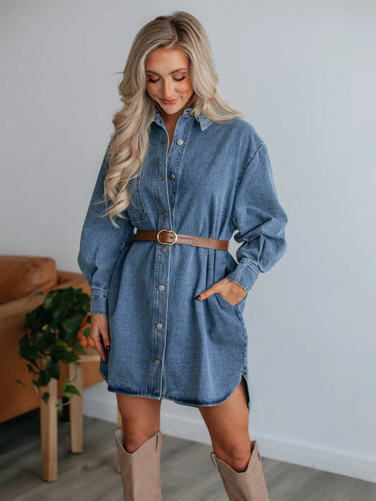 Button Up Collared Neck Long Sleeve Denim Dress - BIT OF THIS BIT OF THAT