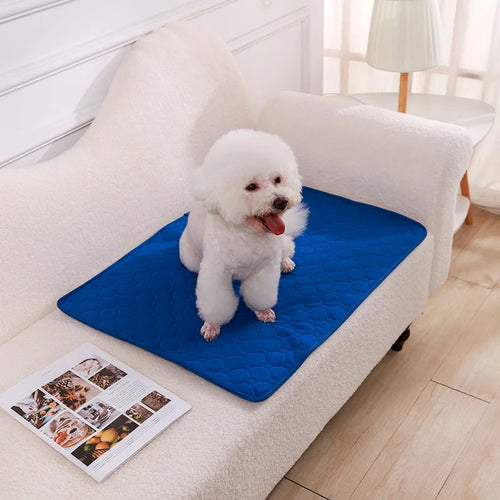 Dog Pee Pad Blanket Reusable Absorbent Diaper Washable Puppy Training