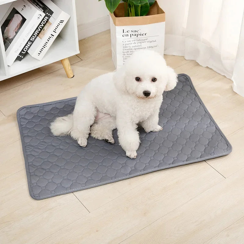 Dog Pee Pad Blanket Reusable Absorbent Diaper Washable Puppy Training