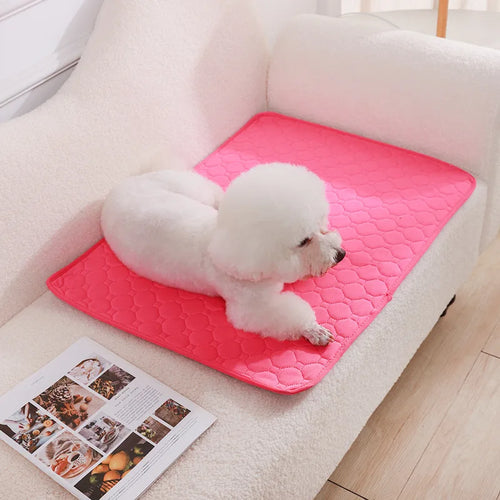 Dog Pee Pad Blanket Reusable Absorbent Diaper Washable Puppy Training