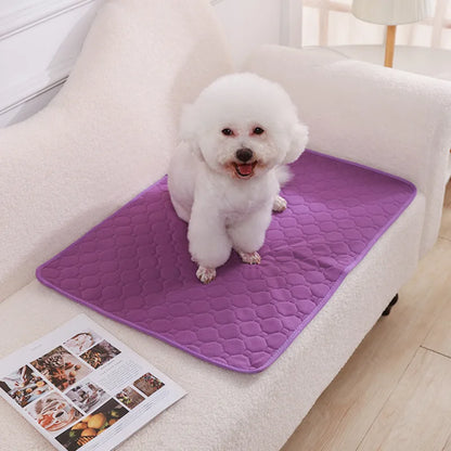 Dog Pee Pad Blanket Reusable Absorbent Diaper Washable Puppy Training