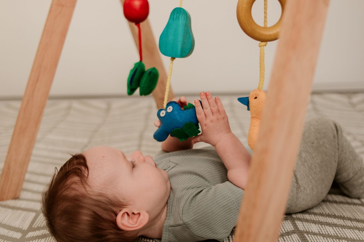 QToys Australia (USA) BABY GYM - BIT OF THIS BIT OF THAT