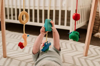 QToys Australia (USA) BABY GYM - BIT OF THIS BIT OF THAT