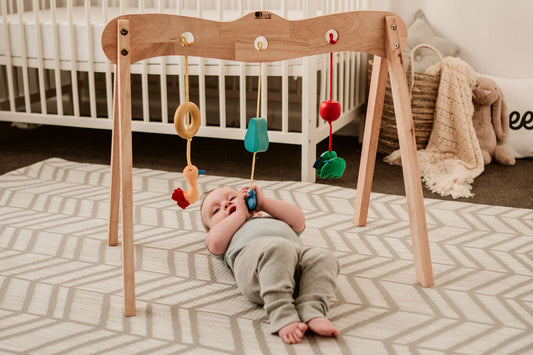 QToys Australia (USA) BABY GYM - BIT OF THIS BIT OF THAT